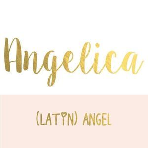 Meet your Posher, Angelica